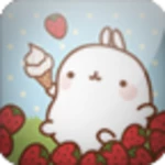 [sskin] molang_sweet_liveback android application logo